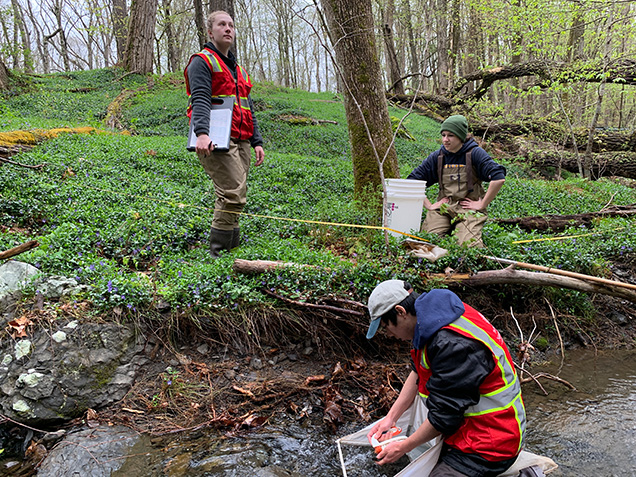Three scientists collecting specimens in a river.